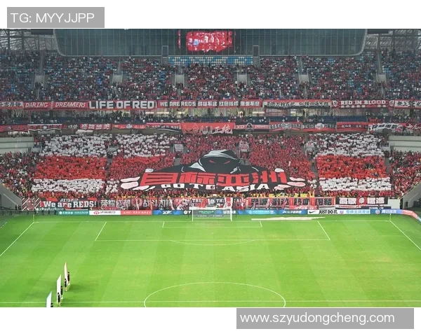 从传奇球星到当代新秀浅谈足球场上十一号号码的荣耀与传承