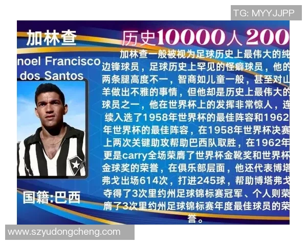 意大利昔日足球巨星的辉煌岁月与绿茵场传奇故事